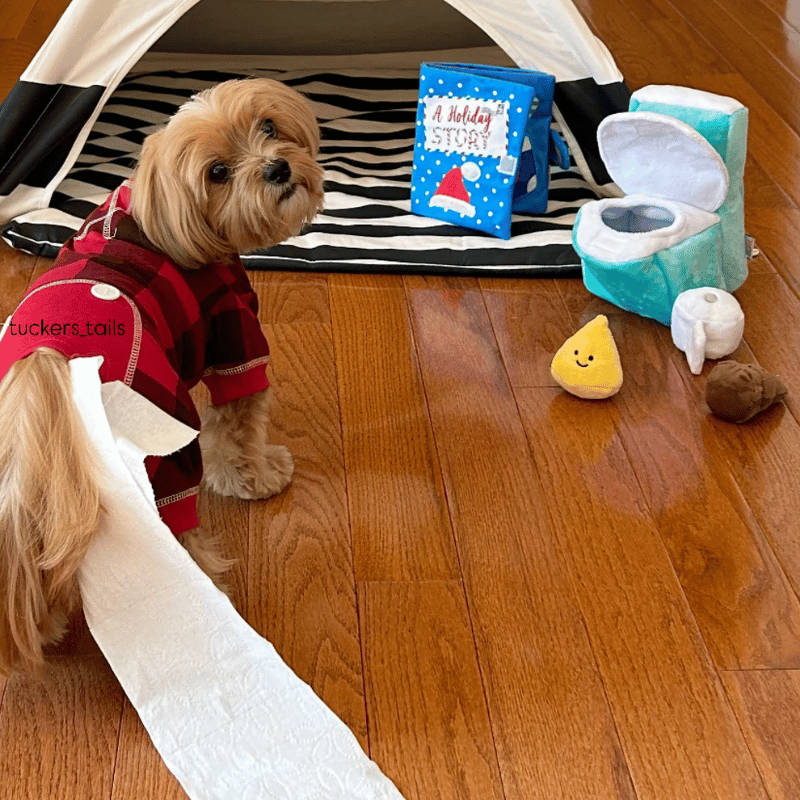 FoufouBRANDS - Burrow - Hide'n Seek - Potty Time