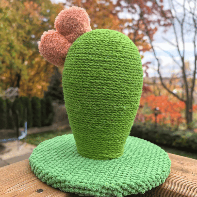 One For Pets - Cat Scratcher - Catcus - Mini