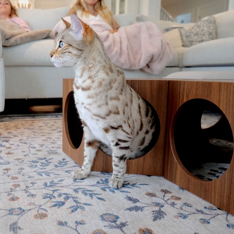 4 Cats & Dogs - Suki - cat stool and shelf