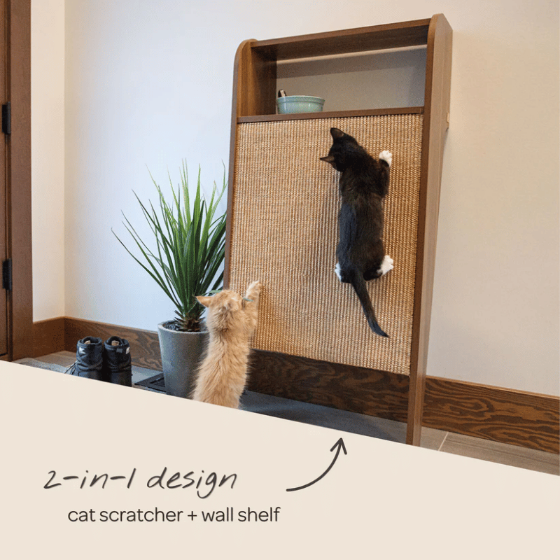 4 Cats & Dogs - Wesley Unit