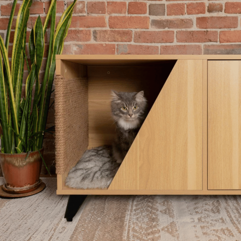 4 Cats & Dogs - Jessie Unit