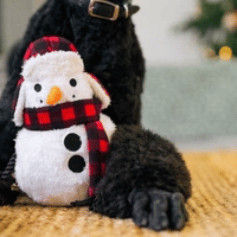 PLAY -  Home For The Holidays -  Blizzard Buddy