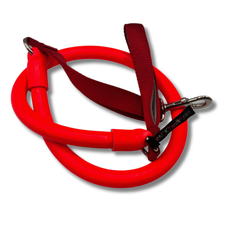 Wacky Walk'r - Leash - Walk'r (Original)