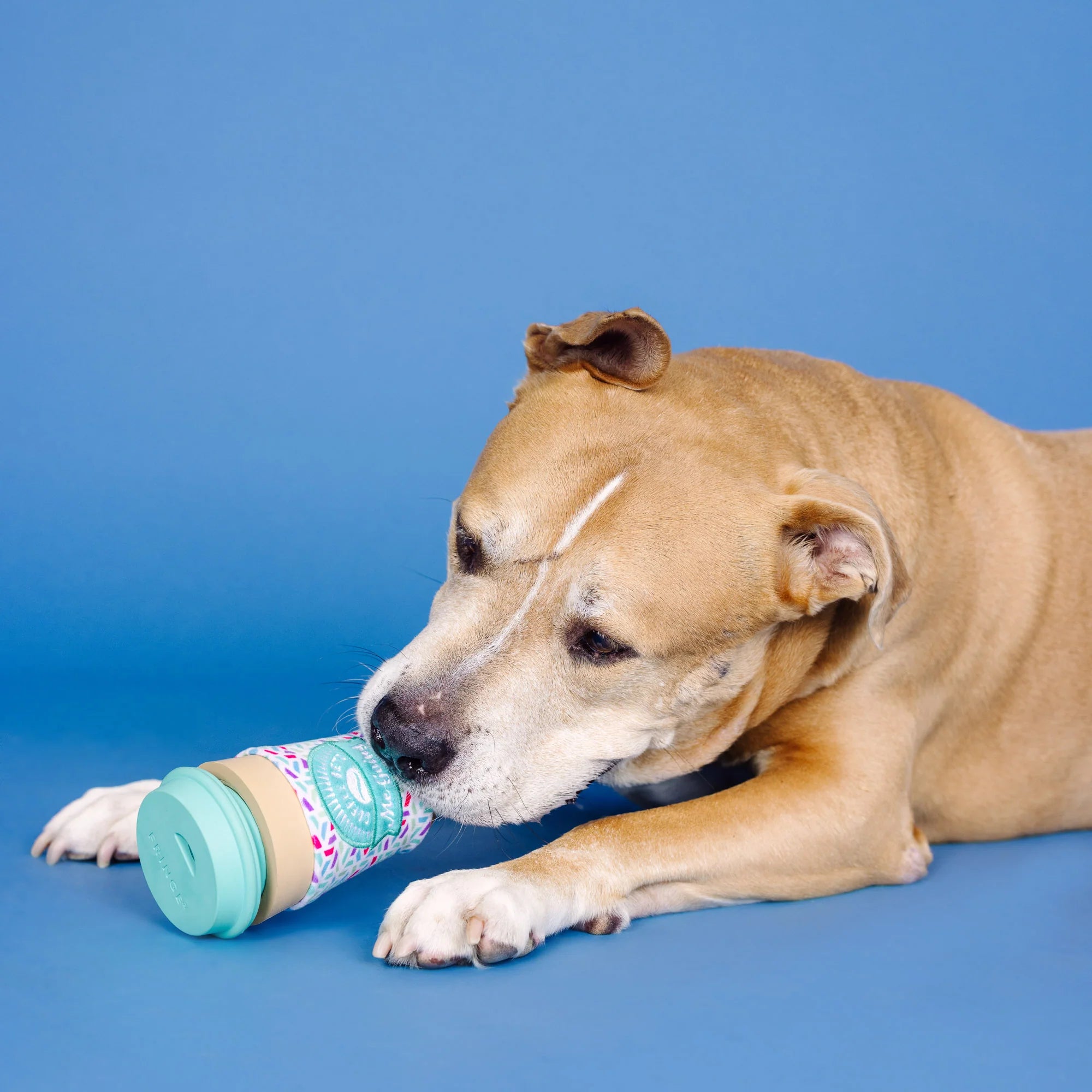 Fringe Studio - Coffee Gets Me Going - Plush Dog Toy