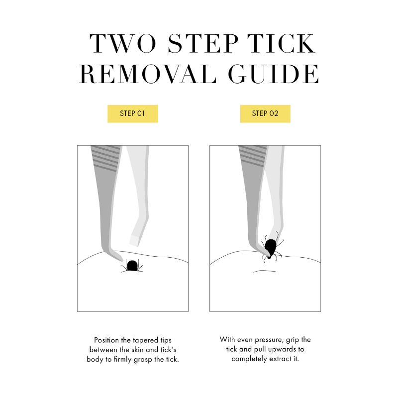 Tweezerman - Tick Remover - Tweezers