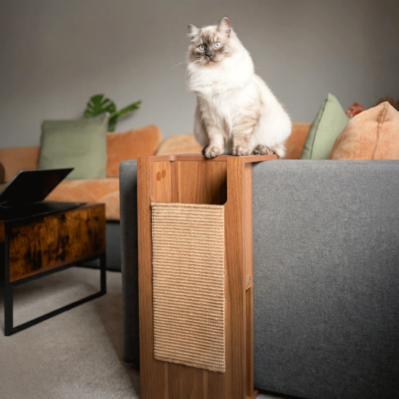 4 Cats & Dogs - Jewl - nesting table + scratcher