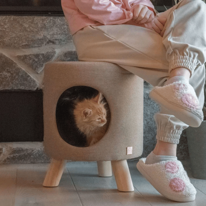 4 Cats & Dogs - Wallie Unit