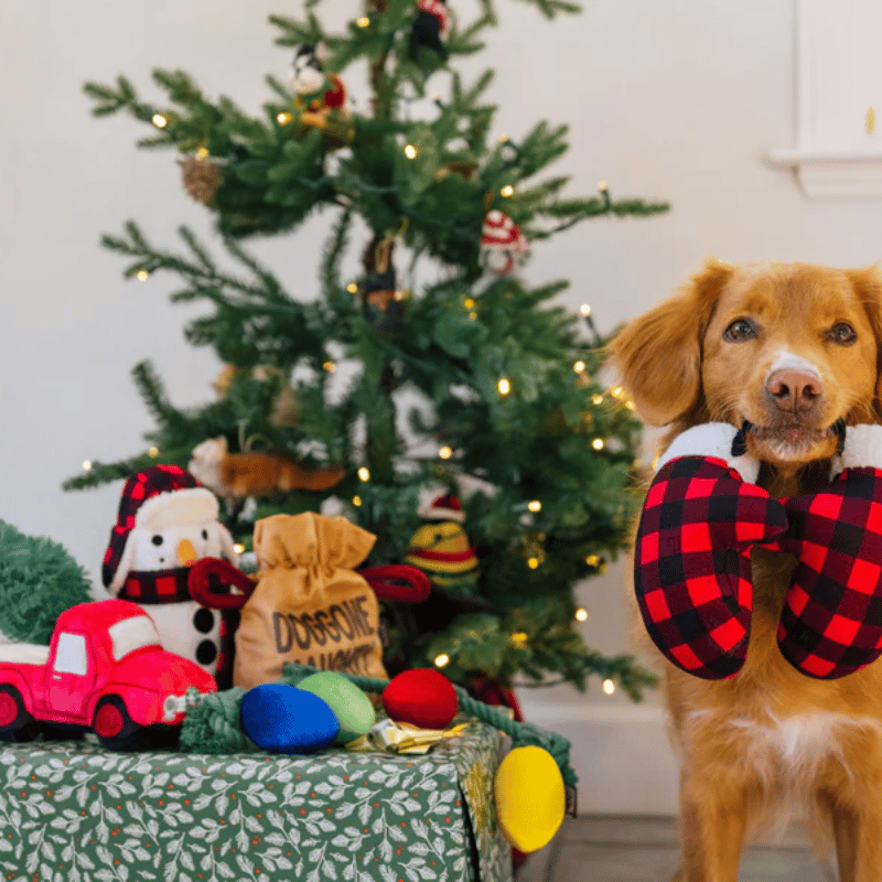 PLAY -  Home For The Holidays -  Paw Warmers
