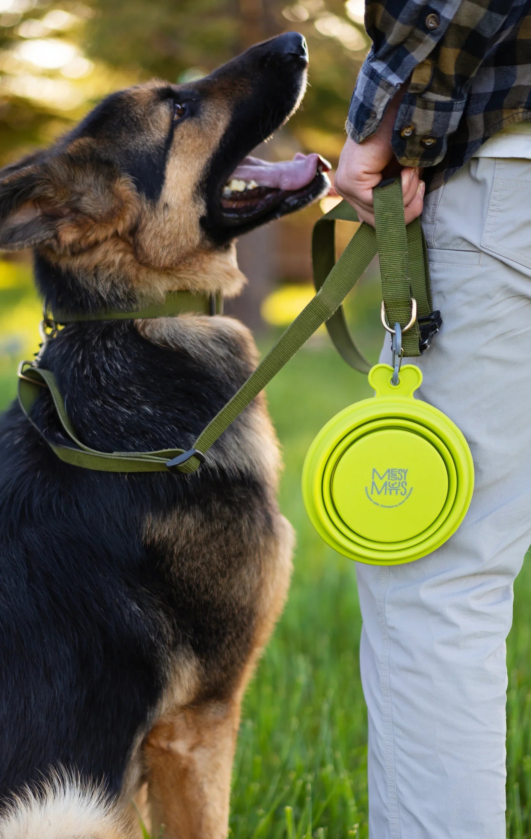 Messy Mutts - Travel - Bowl - Collapsible