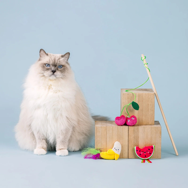 Fringe Studio - Cat - Toy - The Sweetest Bunch - 3 pc