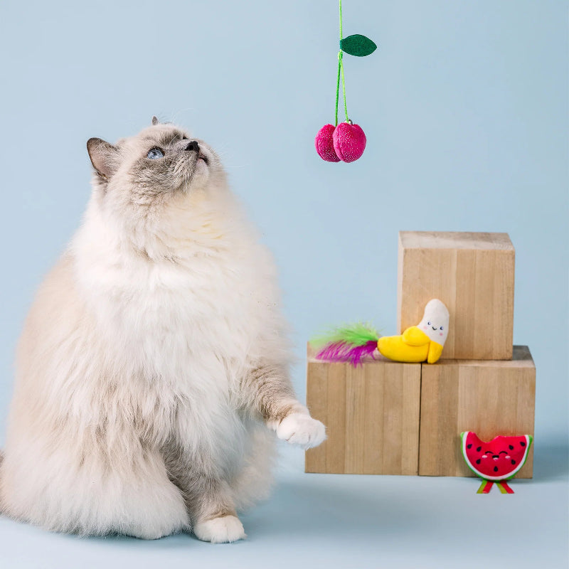 Fringe Studio - Cat - Toy - The Sweetest Bunch - 3 pc