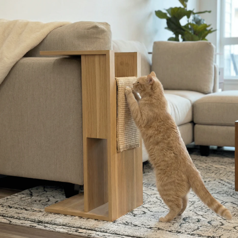 4 Cats & Dogs - Jewl - nesting table + scratcher