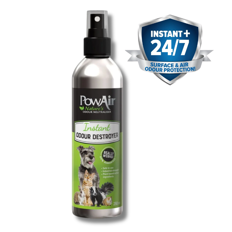 PowAir - Counter POP Display