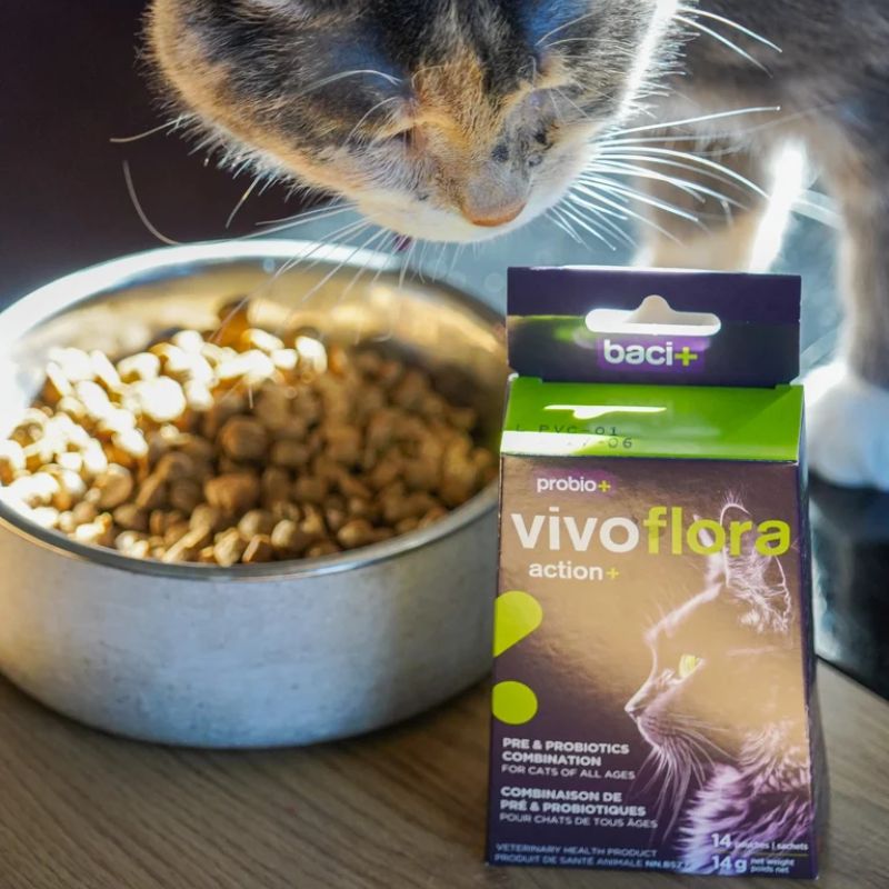 Baci+ -Probio+ - Vivoflora - Cat - 14g