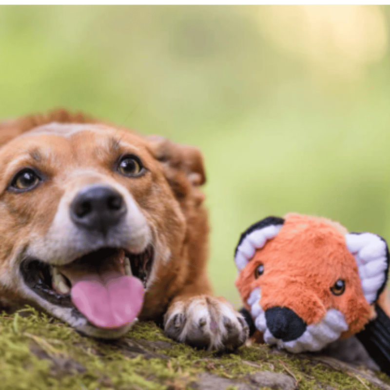 PLAY - Forest Friends Collection - Forest Fox