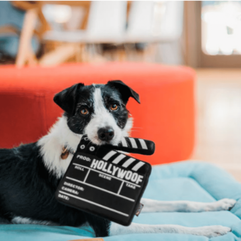 PLAY - Hollywoof Cinema Collection - 15pc POS Display