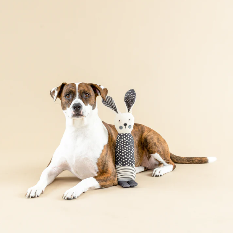 Fringe Studio -All Ears - Canvas - Dog Toy