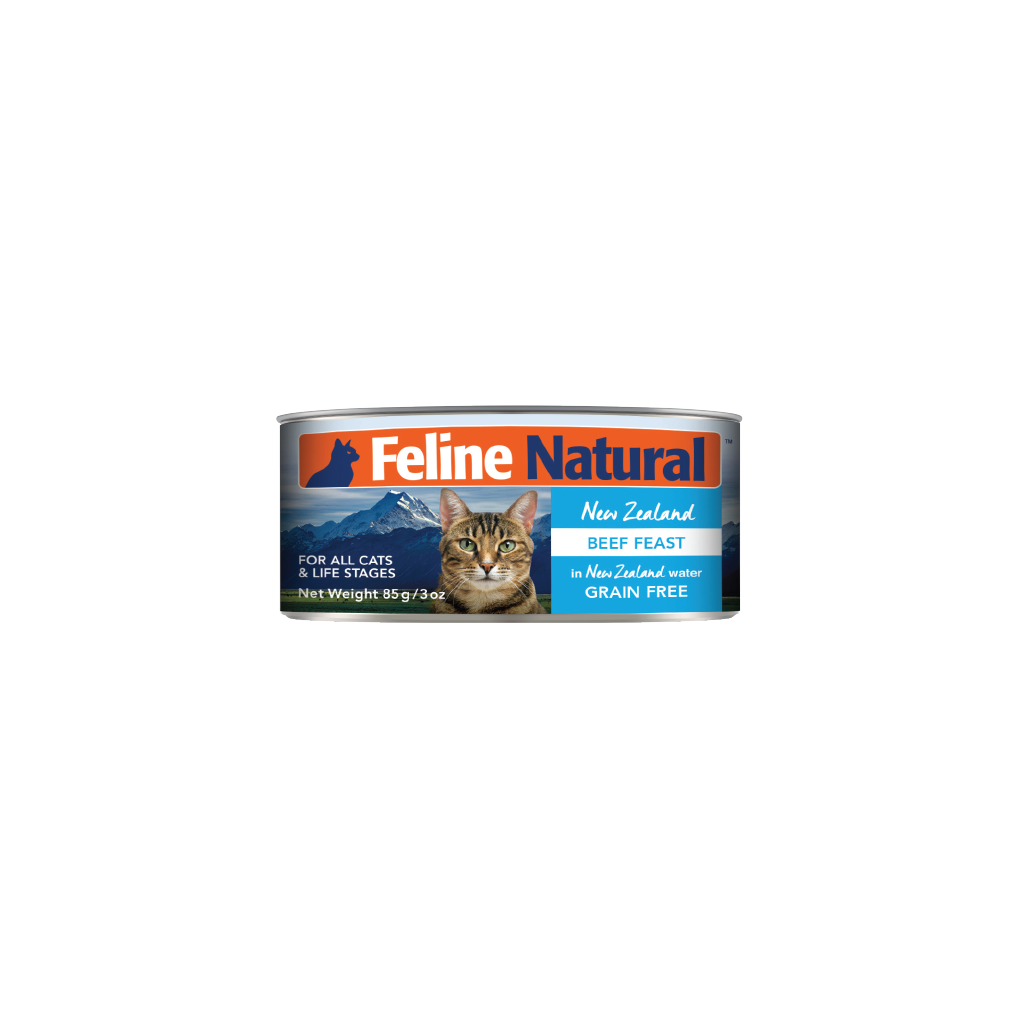 Feline Natural - Beef Feast Can