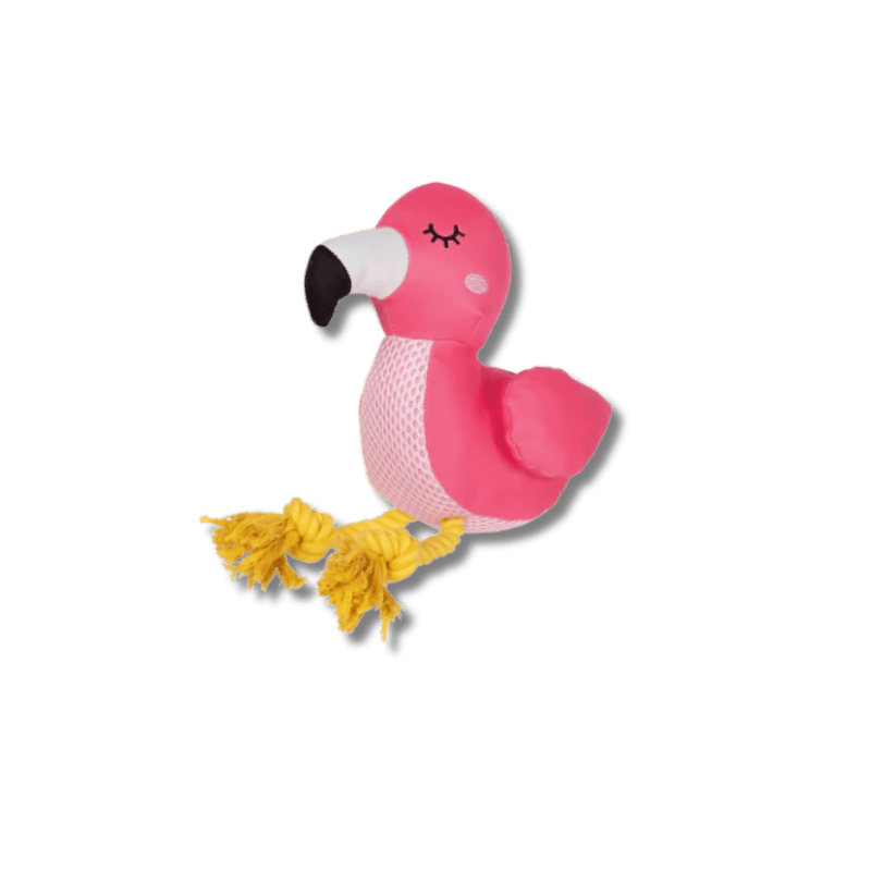 Fringe Studio - Dog - Toy - Floating - Be Flamazing