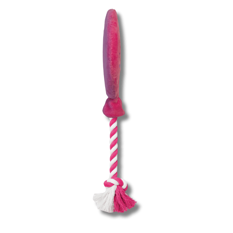 FoufouBRANDS - Birthday Balloon Squeakies - Pink