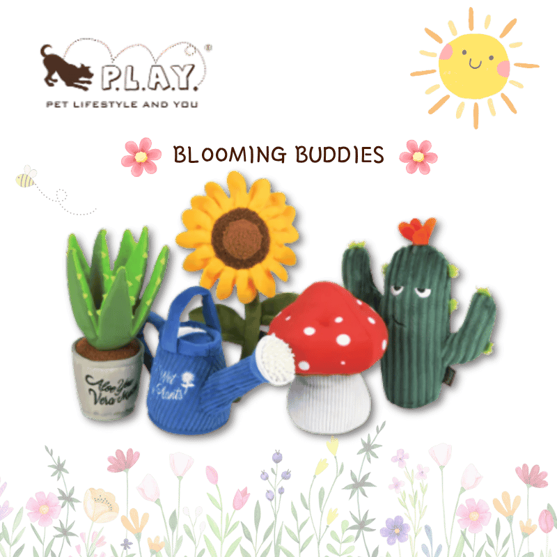 PLAY - Blooming Buddies - 15pc POS Display