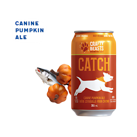 Crafty Beasts - Canine Pumpkin Ale (6 x 355ml)