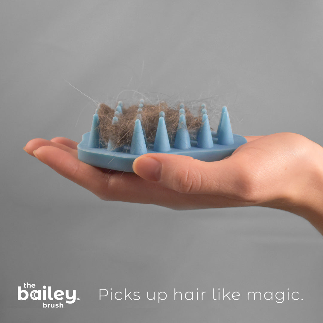 Bailey Brush - Meowy Blue Mist