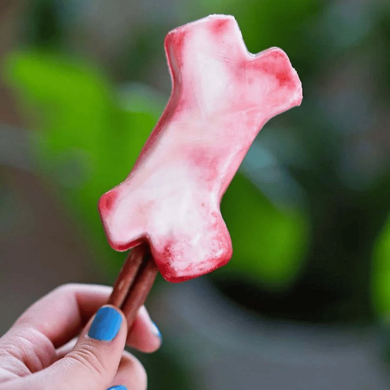 Messy Mutts - Treat Maker - Freeze - Silicone Framed - Bones - LG