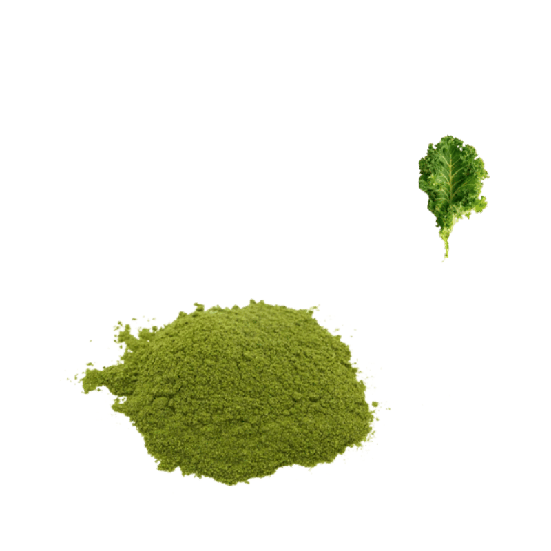 Loopy Paws - Super Pawder - Kale - 40g