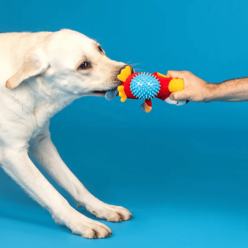 Fringe Studio - Dog - Toy - Plush - Perching Perfection