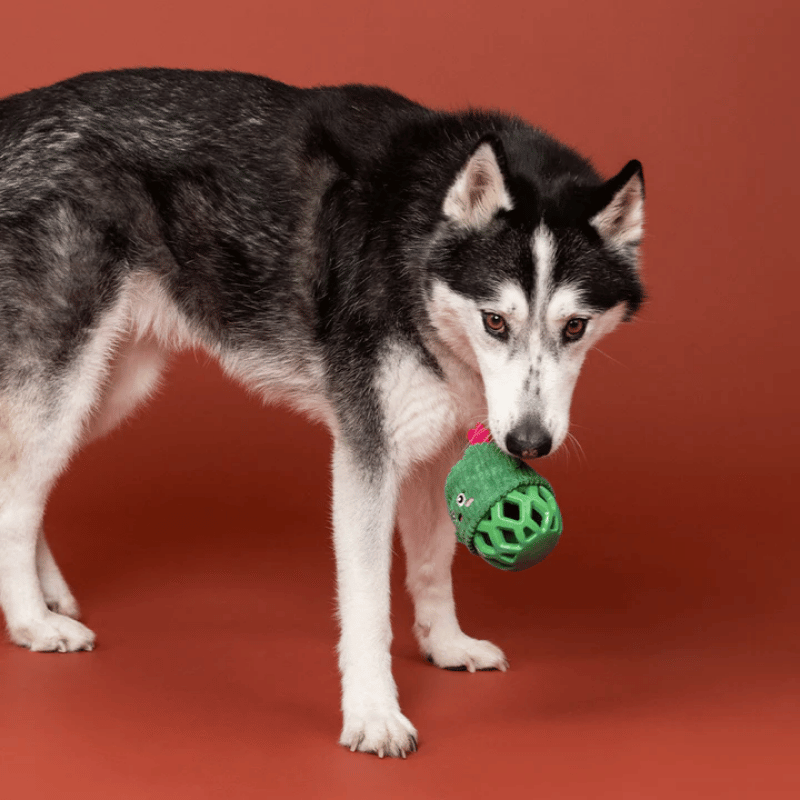 Fringe Studio - Dog - Toy - Durable - Rubber - Dura Club - Prickly But Sweet