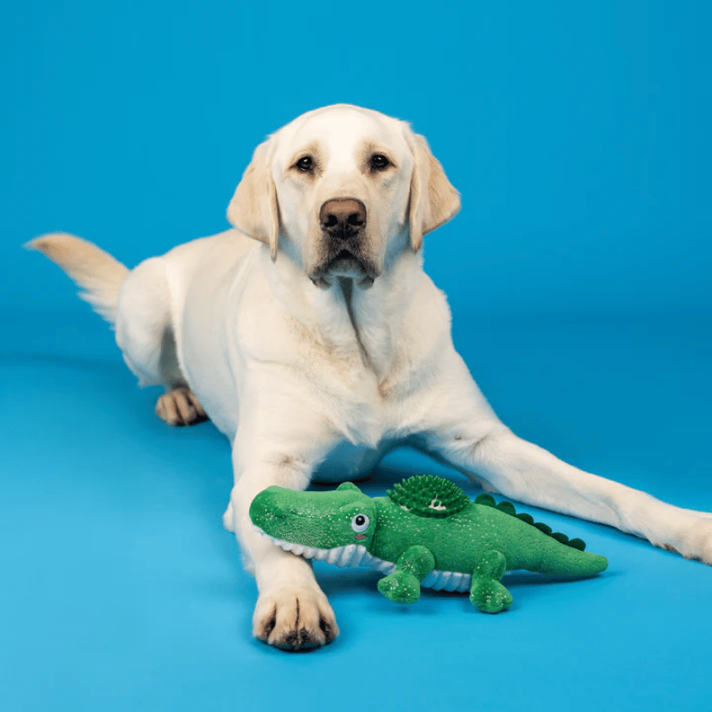 Fringe Studio - Dog - Toy - Plush - Ready to Croc