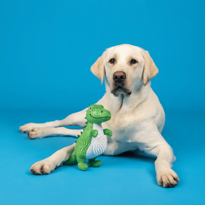 Fringe Studio - Dog - Toy - Plush - Roar and Explore