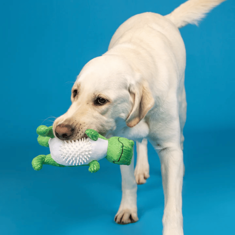 Fringe Studio - Dog - Toy - Plush - Roar and Explore