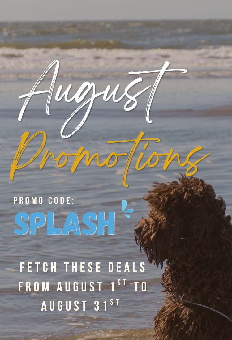 Shopify Mobile Banner august.png__PID:a38dc5a4-47ea-4610-af7f-2b183ca6dcba