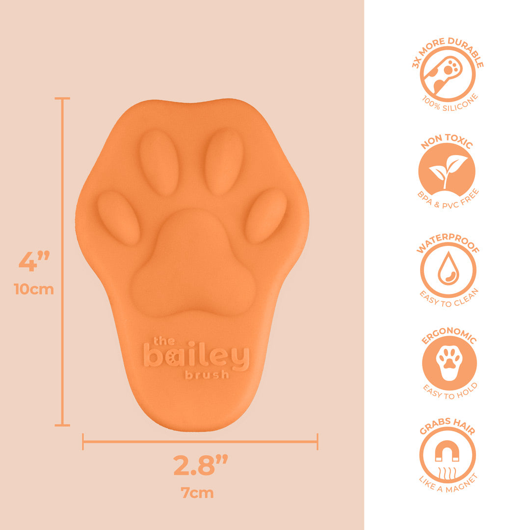 Bailey Brush - Pawpaya Orange