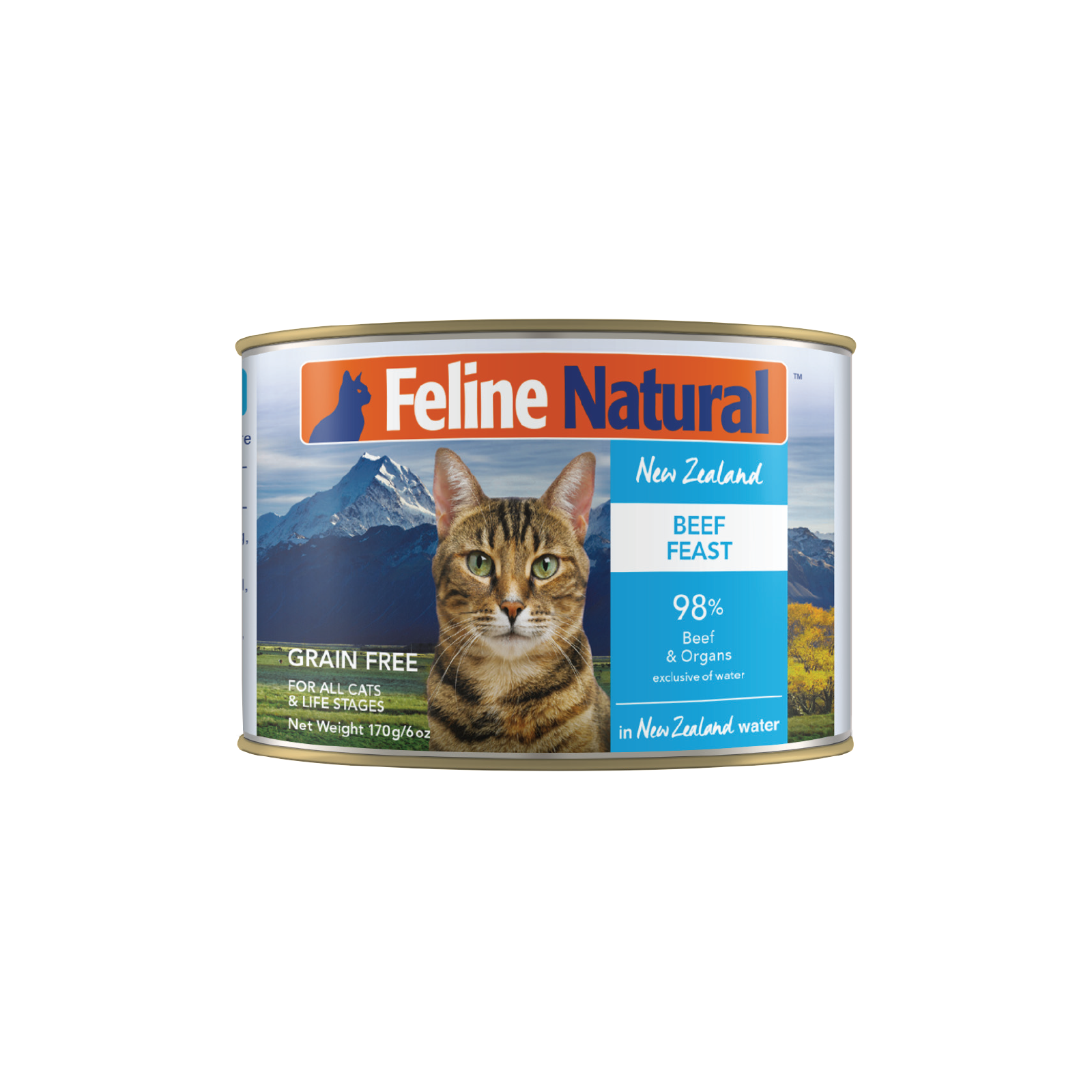 Feline Natural - Beef Feast Can