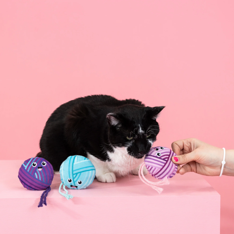 Fringe Studio - Time To Unwind Cat Toy - Set of 3