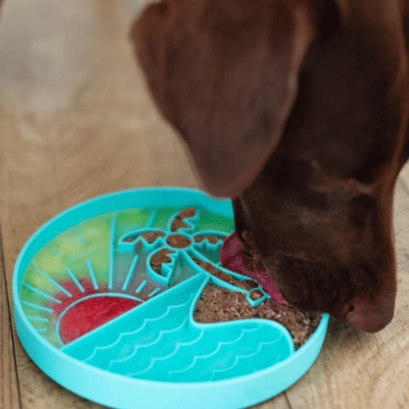 Messy Mutts - Interactive Bowl - Silicone - Teal Beach Pattern
