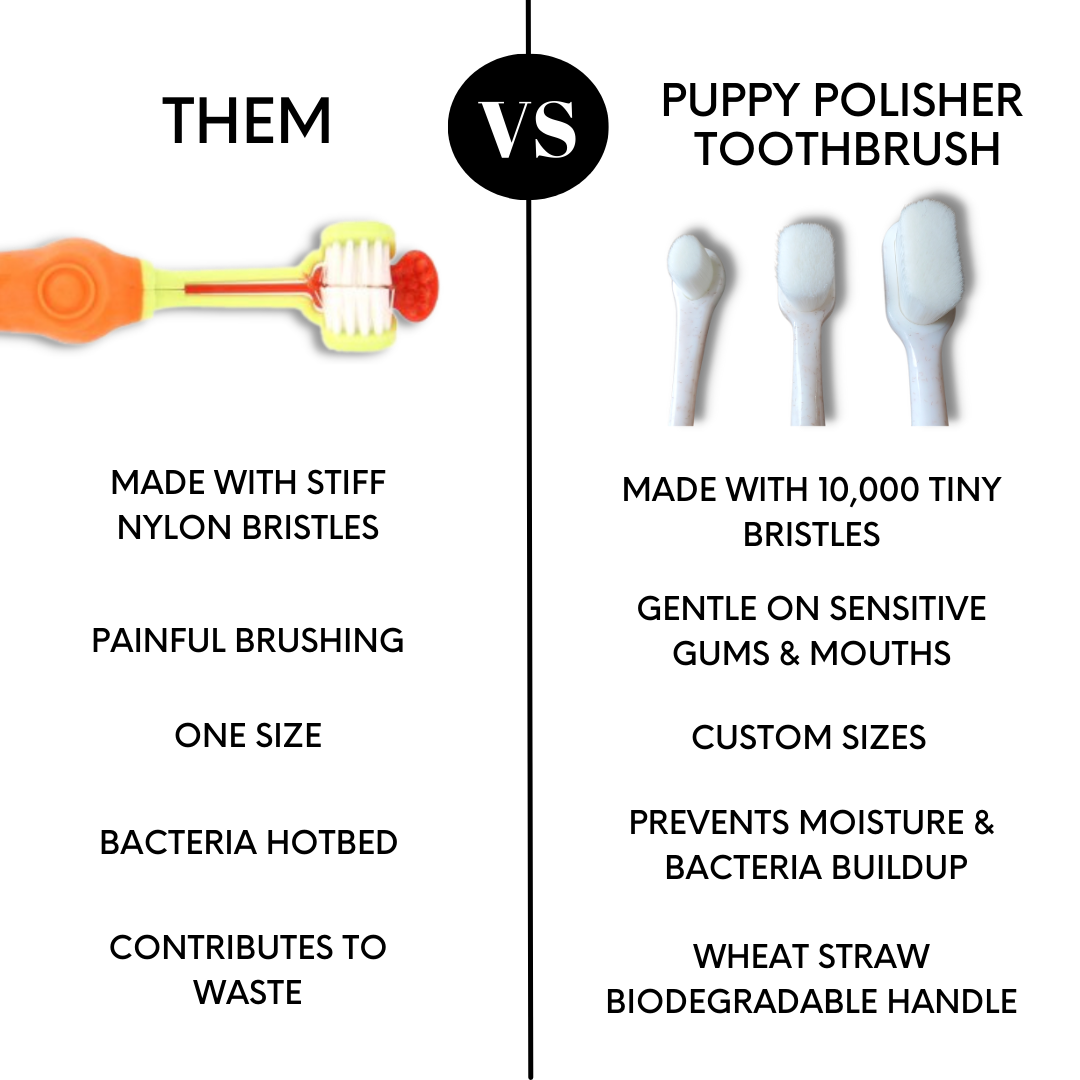 Wag & Bright - Polisher Eco Toothbrush