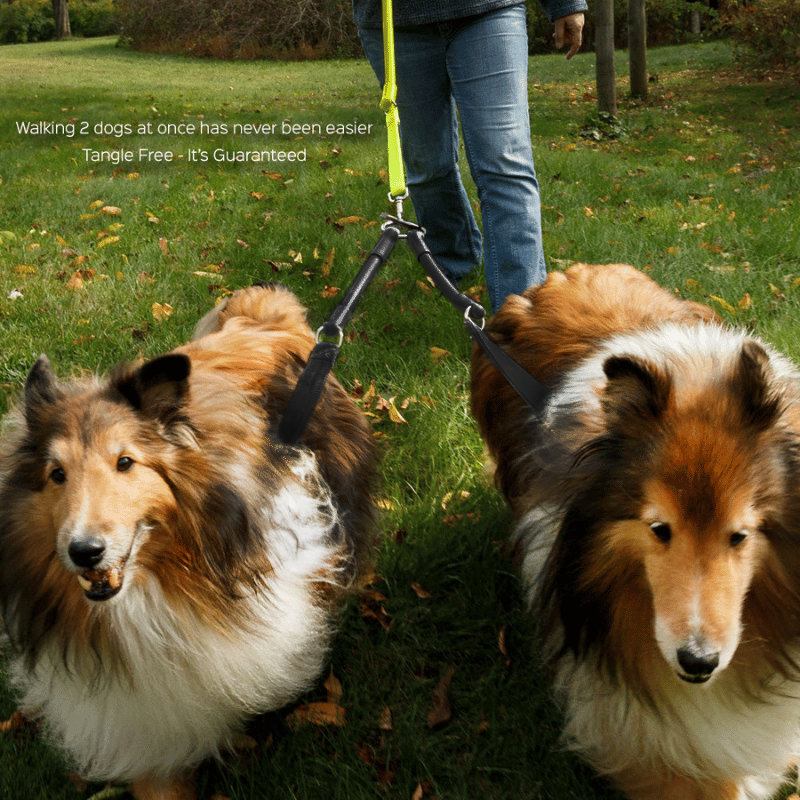 Wacky Walk'r - Coupl'r - Teenie