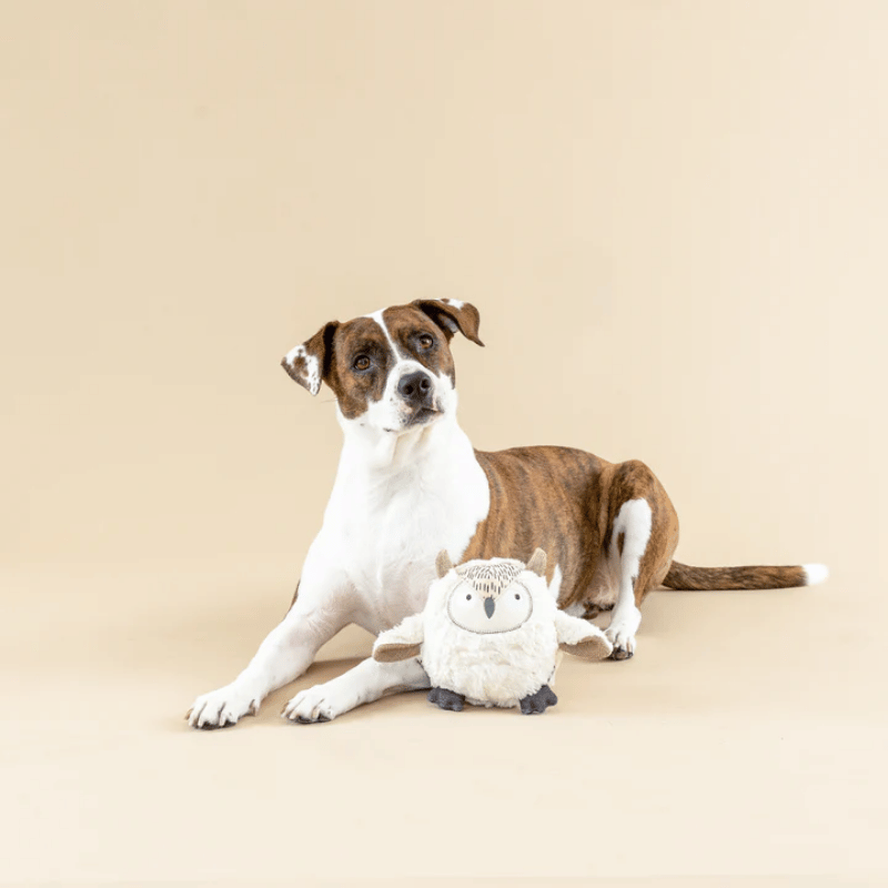 Fringe Studio - Dog - Toy - Earth Friendly - Whoooo's There 3D