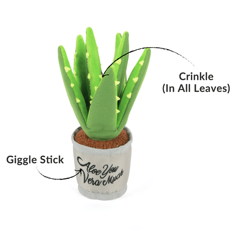 PLAY - Blooming Buddies - Aloe-ve You Plant