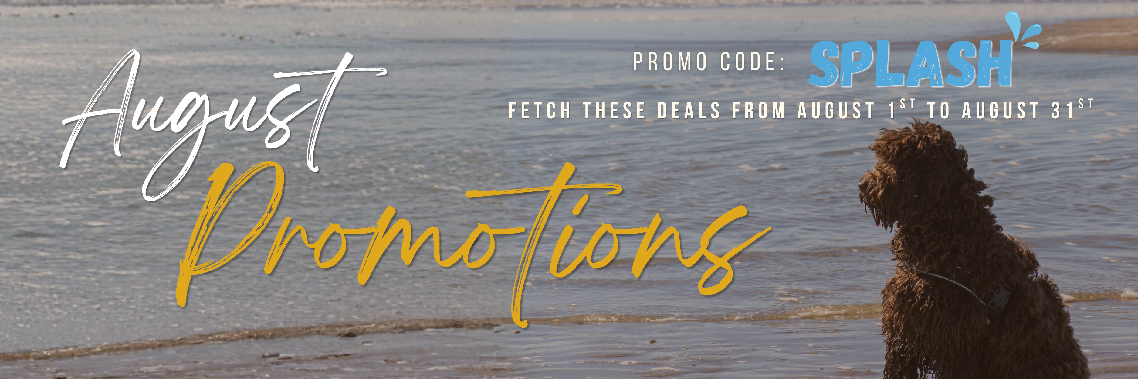 august promo code splash.png__PID:ea021cab-e094-49bc-8742-c882db6bf62c