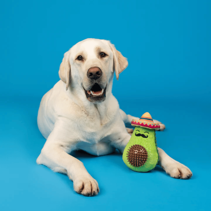 Fringe Studio - Dog - Toy - Plush - Avo-Fiesta