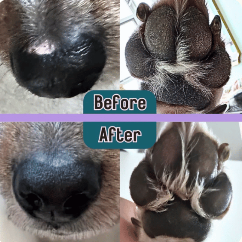 Barks & Boops - Barrier Booster- Lavender - Tin - 50g