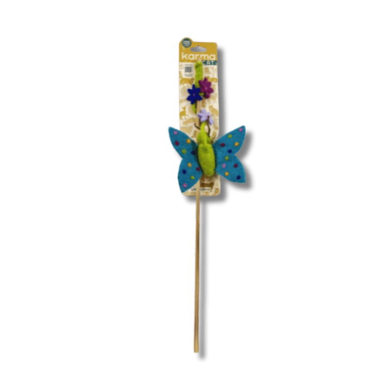 Dharma Dog Karma Cat - Teasers - Butterfly