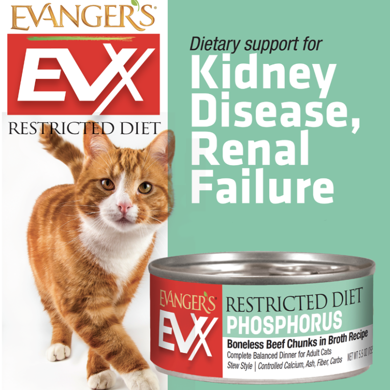 Evangers -  EVX Restricted Diet - Low Phosphorus Boneless Beef for Cats - 5.5oz - Case of 24