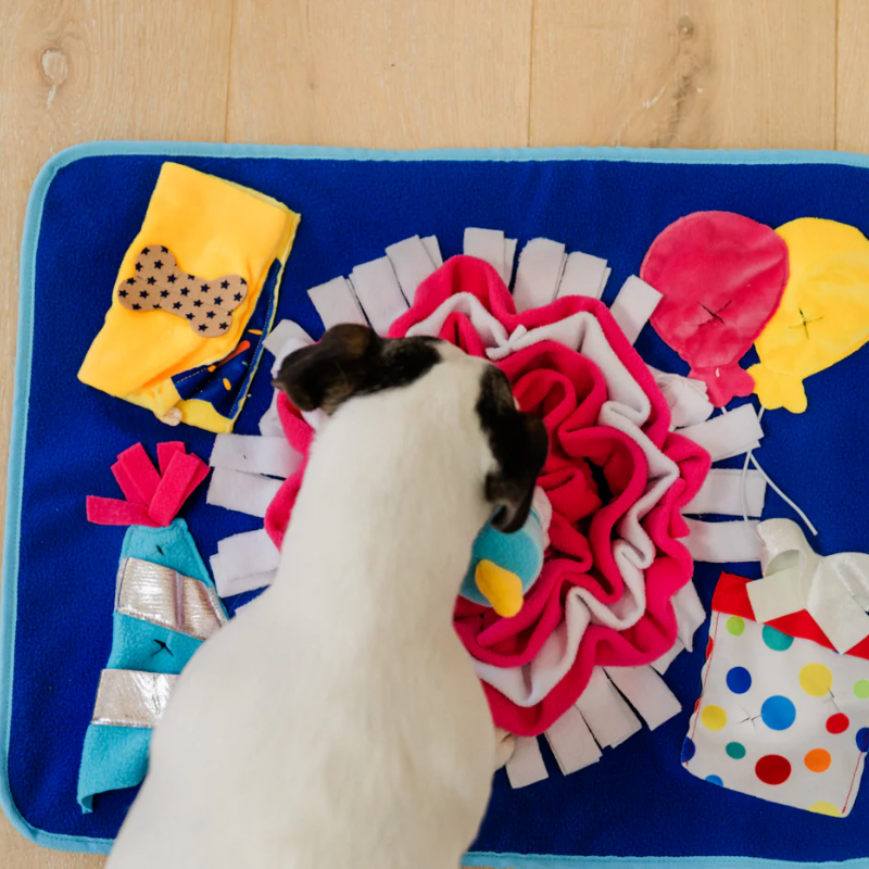 PLAY - Woof-Day - Celebration - Snuffle - Mat