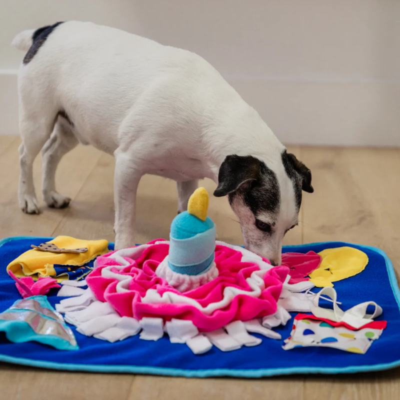 PLAY - Woof-Day - Celebration - Snuffle - Mat